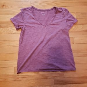 AE V Neck Favorite Tee